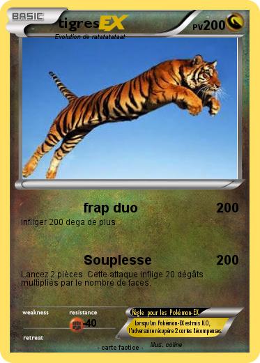 Pokemon tigres