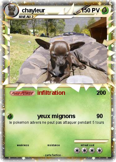 Pokemon chayleur