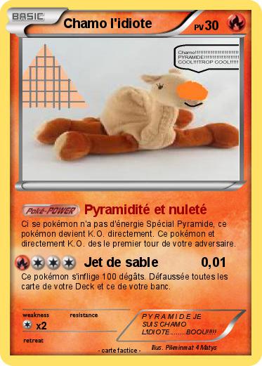 Pokemon Chamo l'idiote