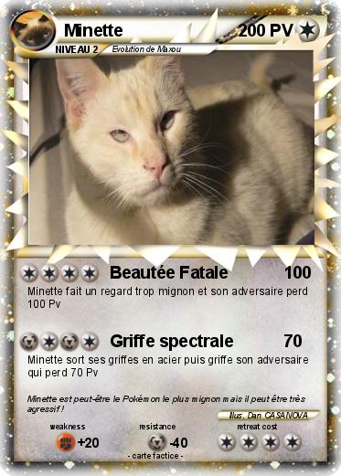 Pokemon Minette
