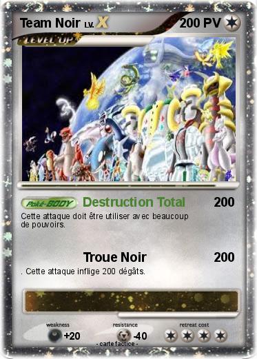 Pokemon Team Noir