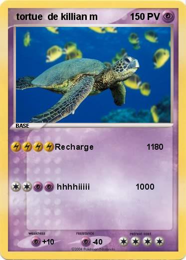 Pokemon  tortue  de killian m