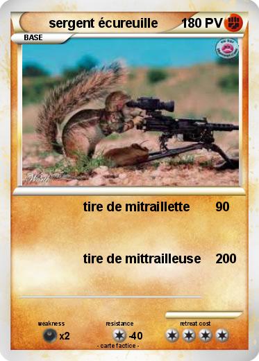 Pokemon sergent écureuille