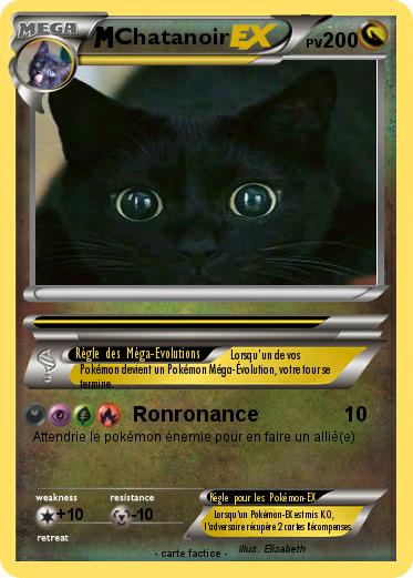 Pokemon Chatanoir