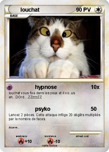 Pokemon louchat