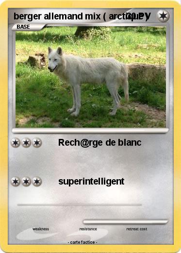 Pokemon berger allemand mix ( arctique )