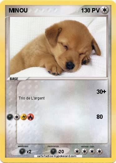 Pokemon MINOU