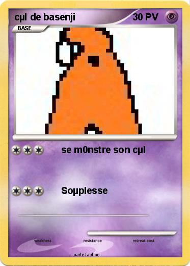 Pokemon cµl de basenji