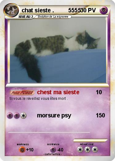 Pokemon chat sieste .         5555