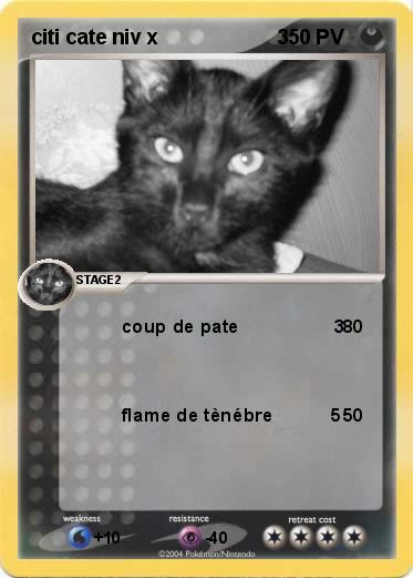 Pokemon citi cate niv x                     3