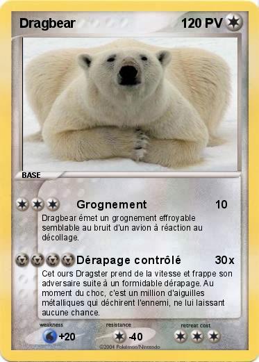 Pokemon Dragbear