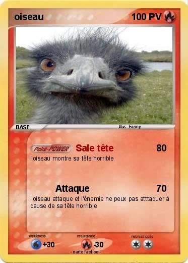 Pokemon oiseau