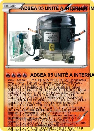 Pokemon ADSEA 05 UNITÉ A INTERNAT IME