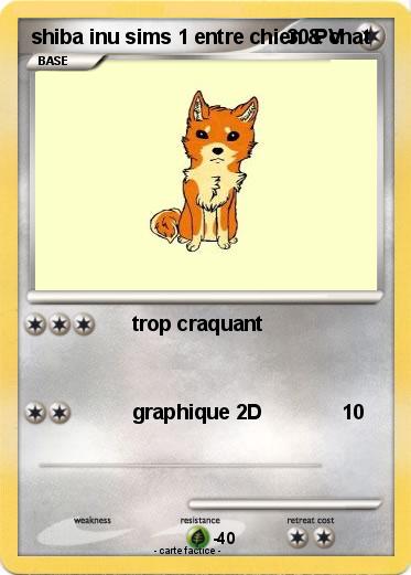 Pokemon shiba inu sims 1 entre chien & chat
