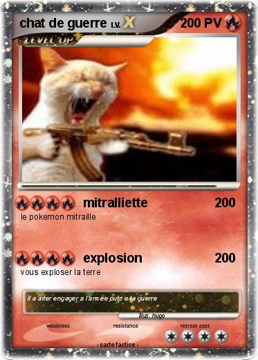 Pokemon chat de guerre