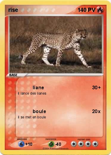 Pokemon rise