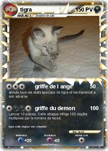 Pokemon tigra