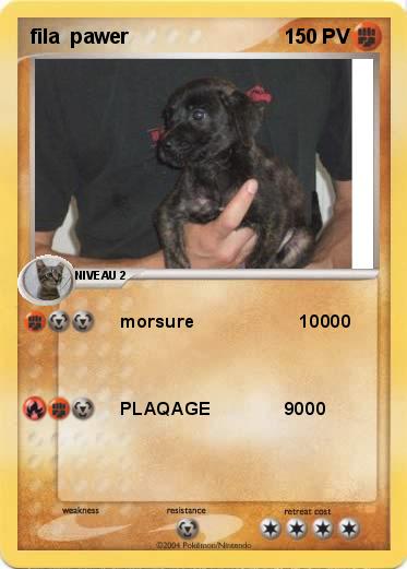 Pokemon fila  pawer