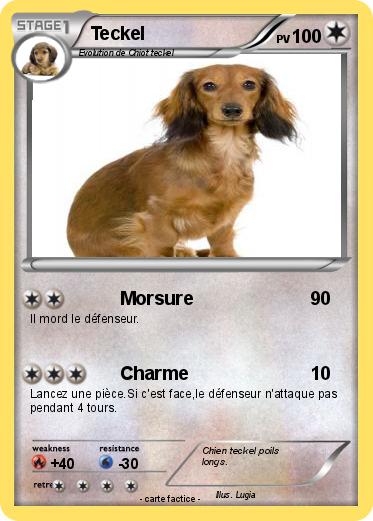 Pokemon Teckel