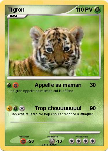 Pokemon Tigron