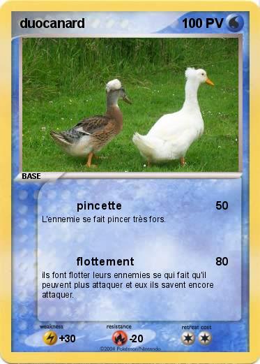 Pokemon duocanard