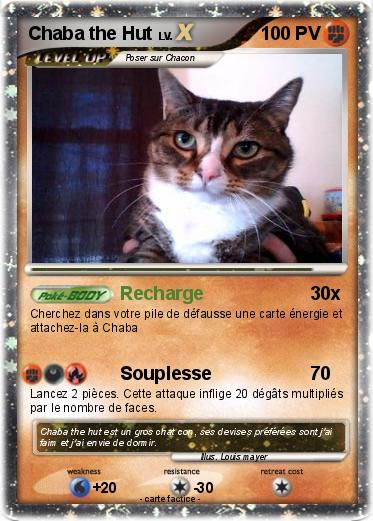 Pokemon Chaba the Hut