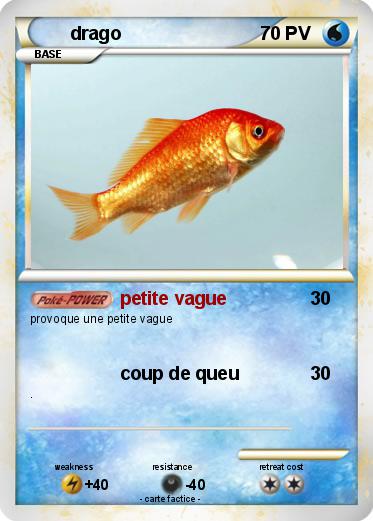 Pokemon drago