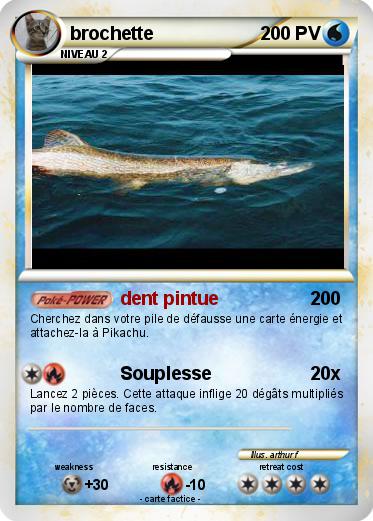 Pokemon brochette