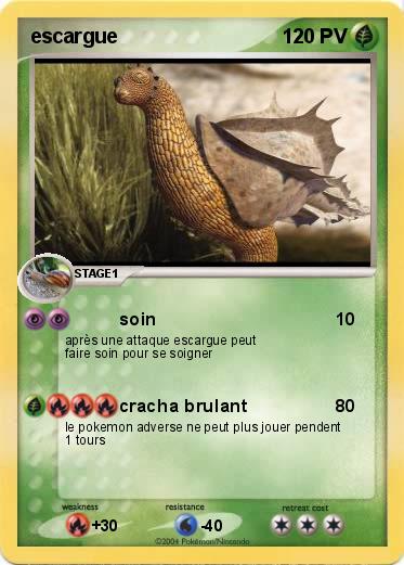 Pokemon escargue