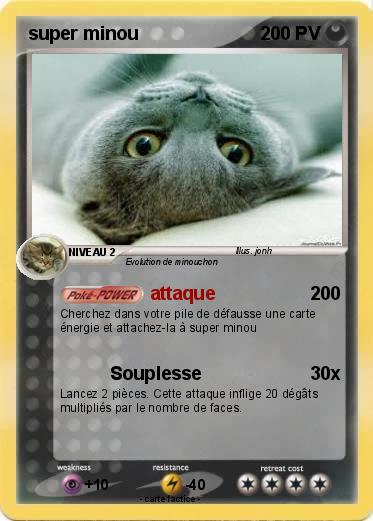 Pokemon super minou