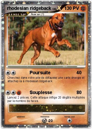 Pokemon rhodesian ridgeback