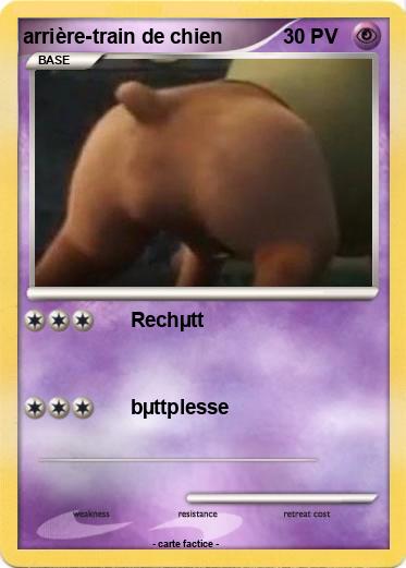 Pokemon arrière-train de chien