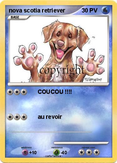 Pokemon nova scotia retriever