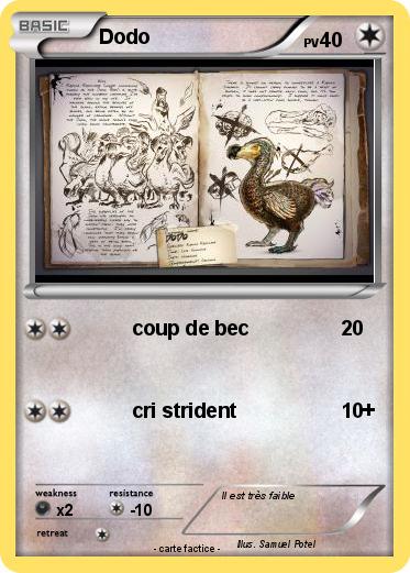 Pokemon Dodo