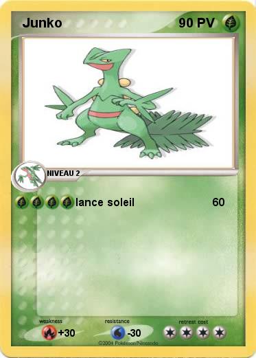 Pokemon  Junko