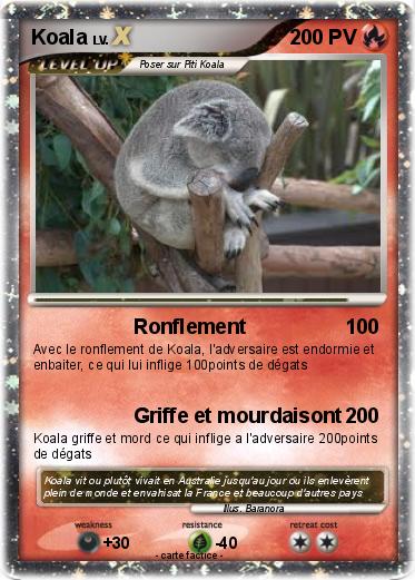 Pokemon Koala