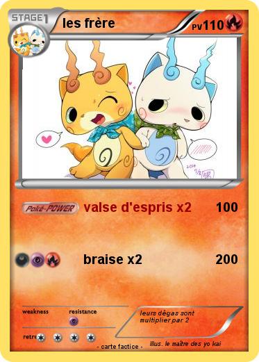 Pokemon les frère