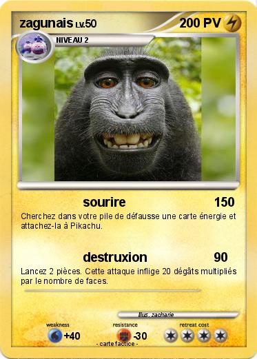 Pokemon zagunais