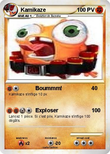 Pokemon Kamikaze