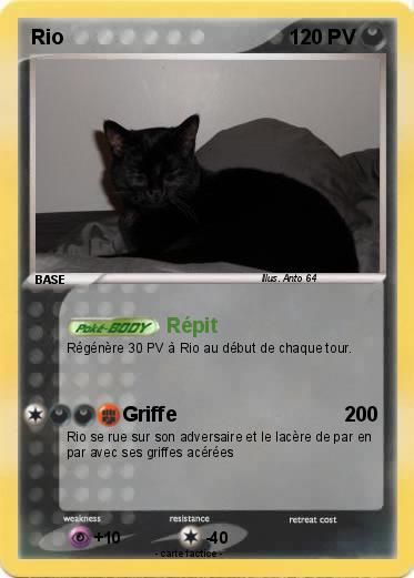 Pokemon Rio