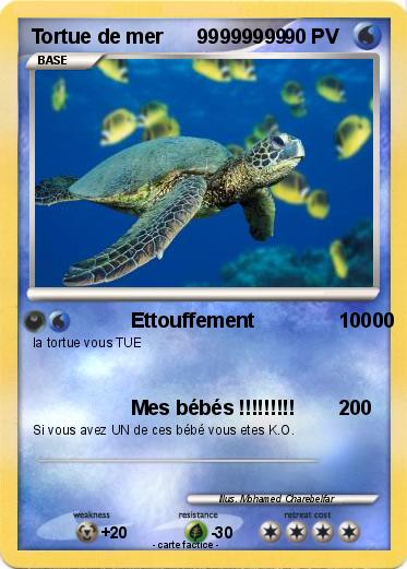 Pokemon Tortue de mer      99999999