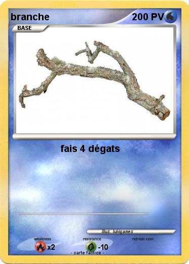 Pokemon branche