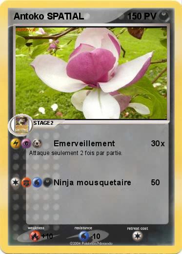 Pokemon Antoko SPATIAL