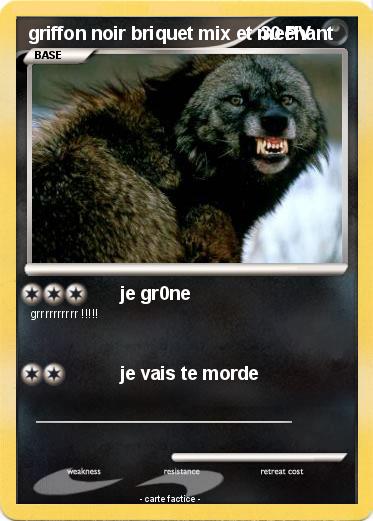 Pokemon griffon noir briquet mix et mechant