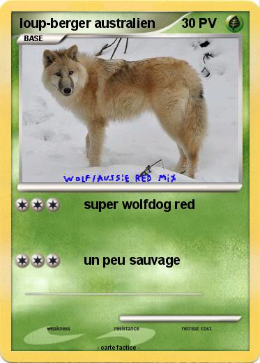 Pokemon loup-berger australien