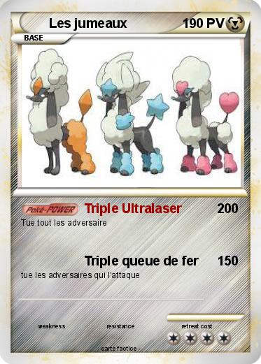 Pokemon Les jumeaux