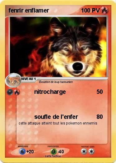 Pokemon fenrir enflamer