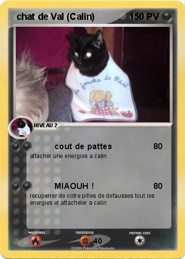 Pokemon  chat de Val (Calin)