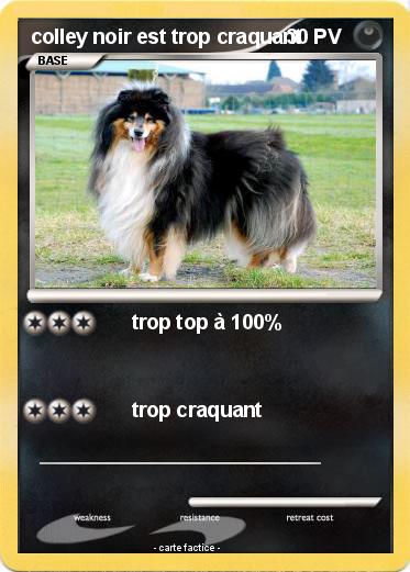 Pokemon colley noir est trop craquant