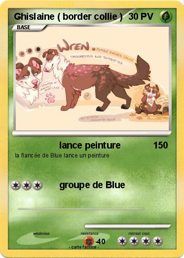 Pokemon Ghislaine ( border collie )